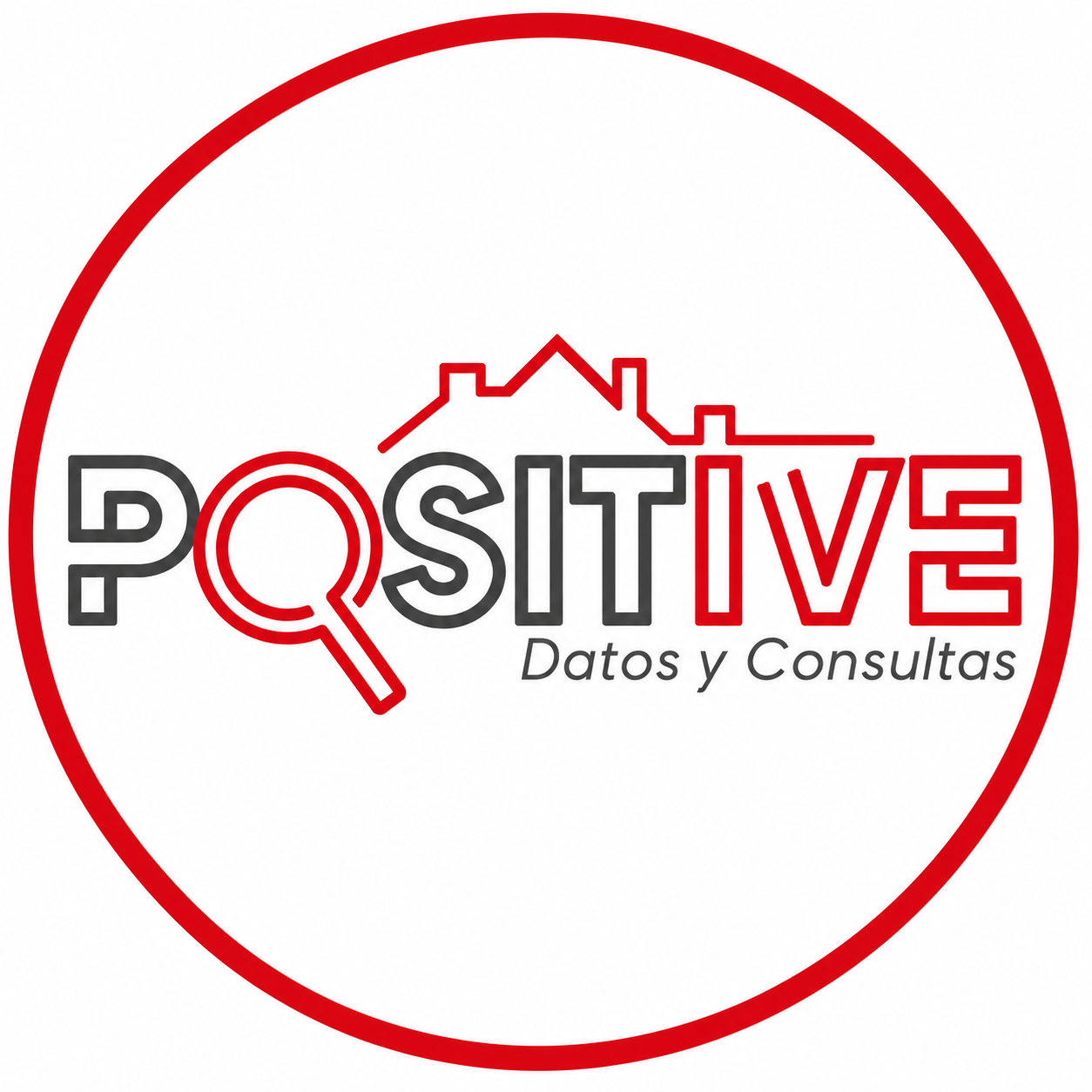Home Logo de Positive Datos & Consultas